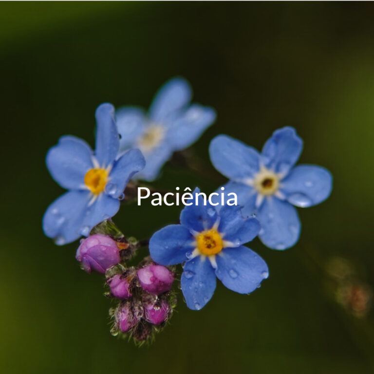 Paciência