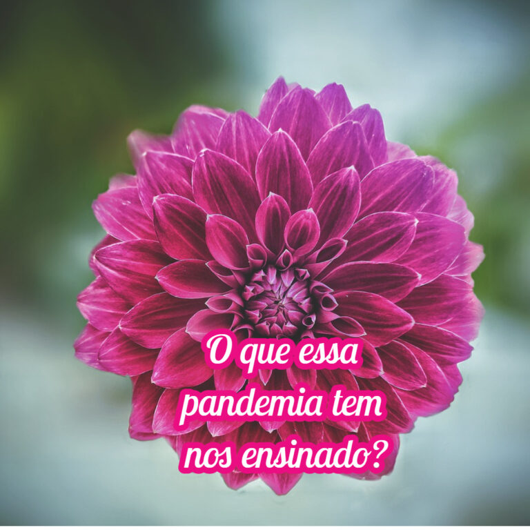 O que essa pandemia tem nos ensinado?